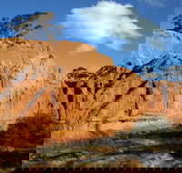 Red Banks Conservation Park - Hotel Gold Coast