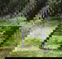 Ritchie's Hut - Hotel Gold Coast