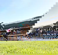 Rosehill Gardens Racecourse - Hotel Gold Coast