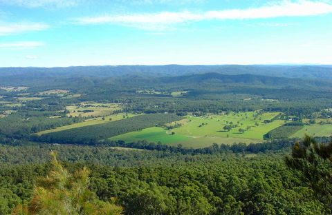 Sherwood Nature Reserve - Hotel Gold Coast 0