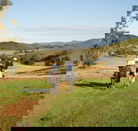 Tamworth and Kootingal Horse Riding Adventures