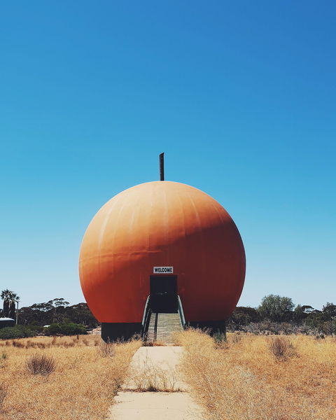 The Big Orange - Hotel Gold Coast 0