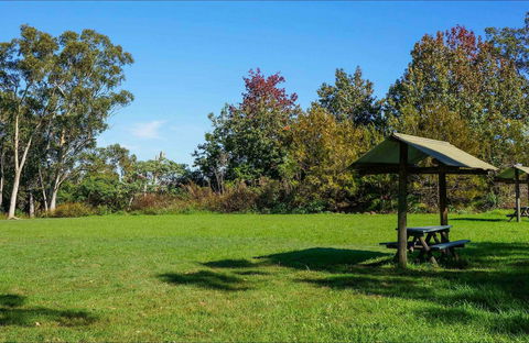 Tunks Hill Picnic Area - Hotel Gold Coast 0