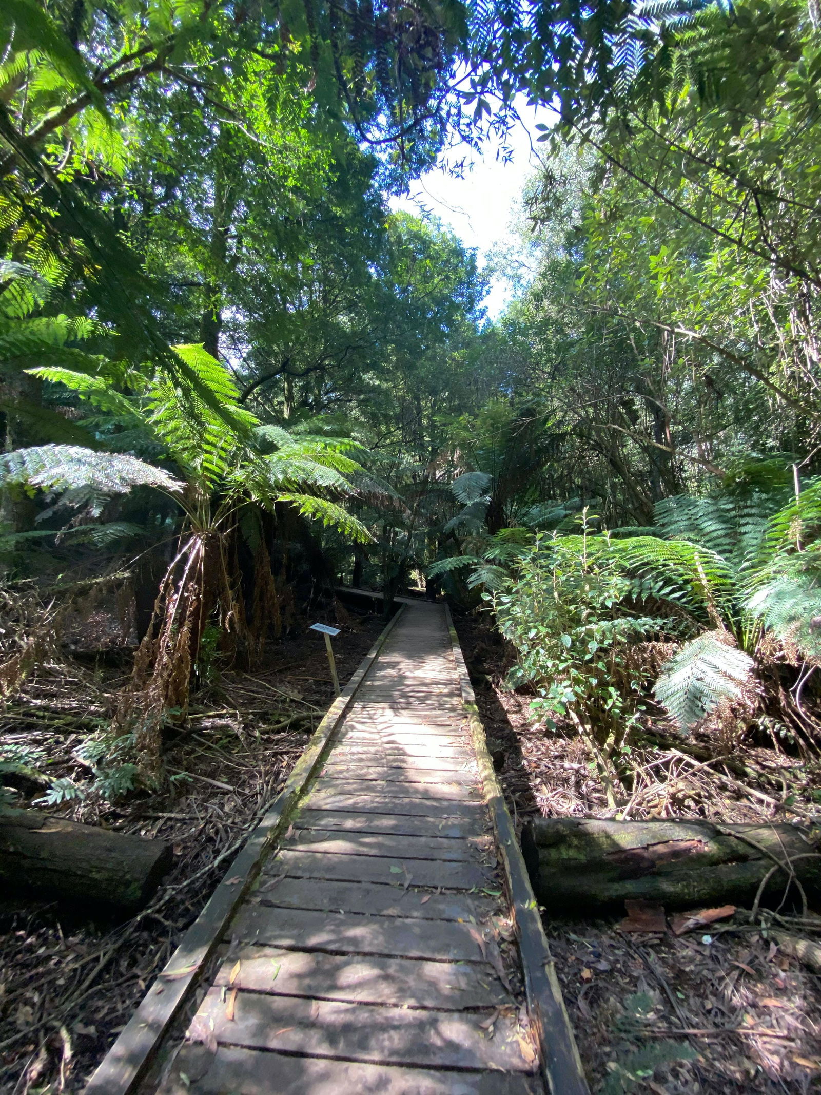 Toolangi VIC Hotel Gold Coast