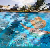 Boulia Sports and Aquatic Centre - Hotel Gold Coast