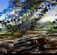 Bowen Mountain Park - Hotel Gold Coast