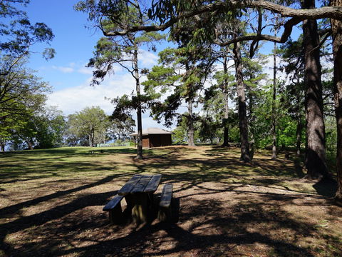 Bowen Mountain Park - Hotel Gold Coast 0