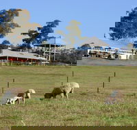Calmsley Hill City Farm - Hotel Gold Coast