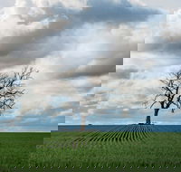 Clare Valley - Hotel Gold Coast