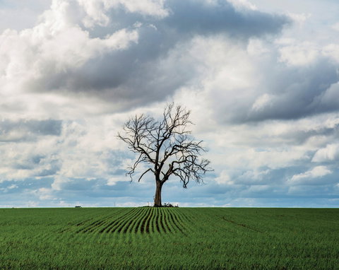 Clare Valley - Hotel Gold Coast 0