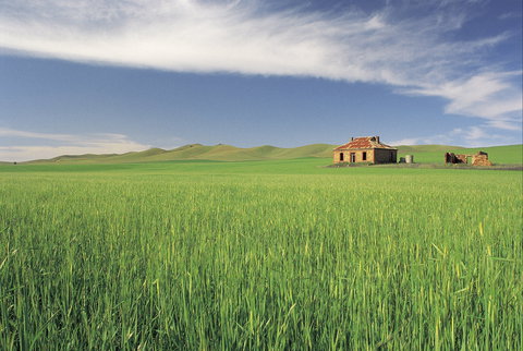 Clare Valley - Hotel Gold Coast 1