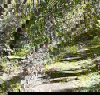 Euglah Rock Walking Track - Hotel Gold Coast