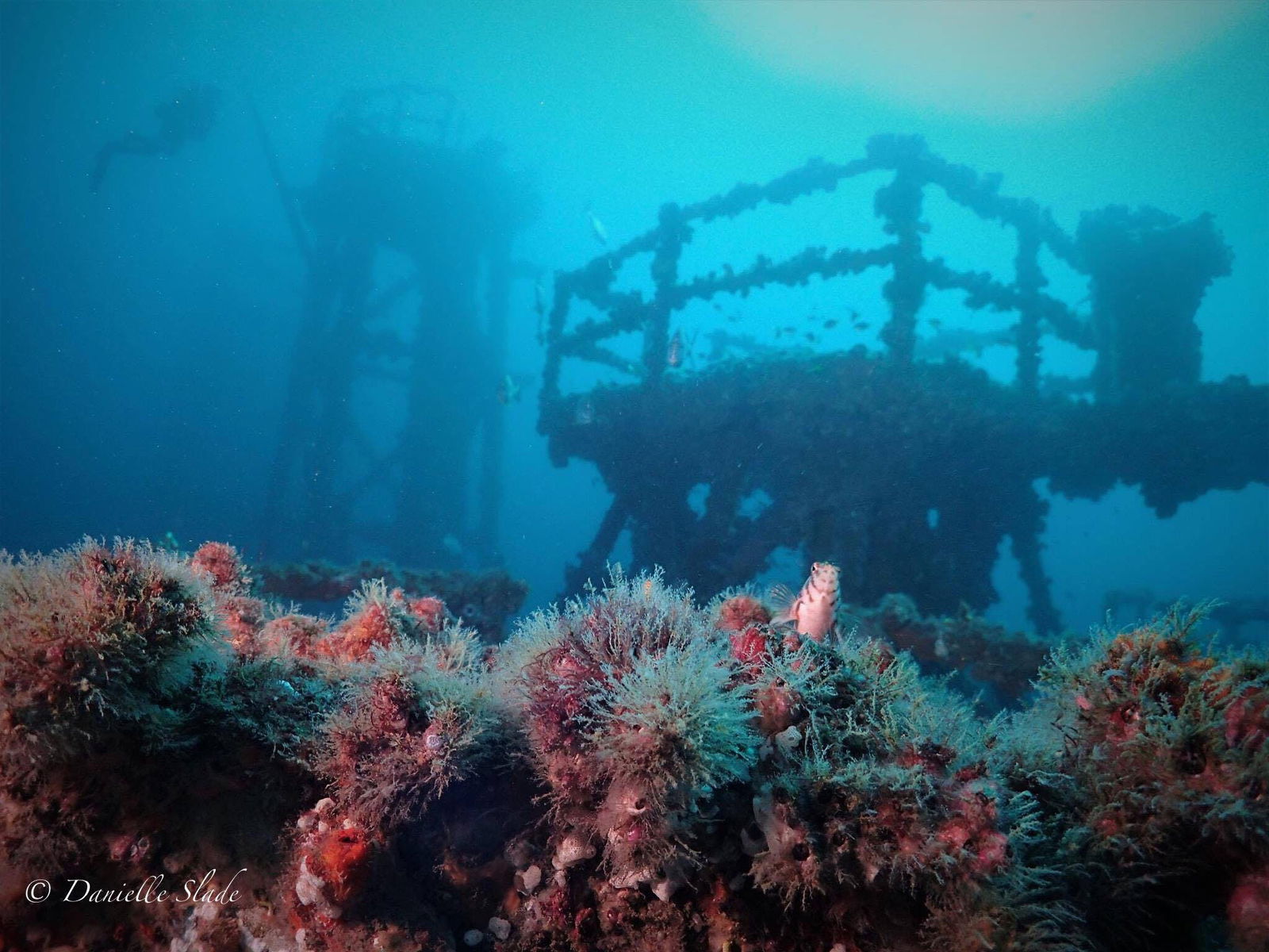 Killarney Vale NSW Hotel Gold Coast