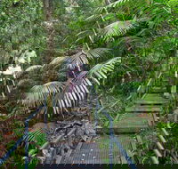 Falls walking track - Hotel Gold Coast