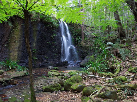 Gold Coast Hinterland Great Walk - Hotel Gold Coast 1