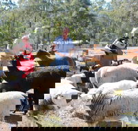 Haigslea EWE Nique Hobby Farm - Hotel Gold Coast