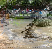 Hartley's Crocodile Adventures - Hotel Gold Coast