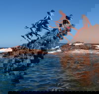 Hillocks Drive - Hotel Gold Coast