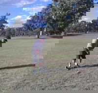 Inverell Golf Club - Hotel Gold Coast