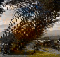 Jetty Farm - Hotel Gold Coast