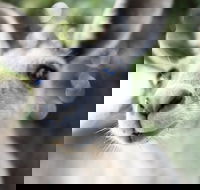 Lochern National Park - Hotel Gold Coast