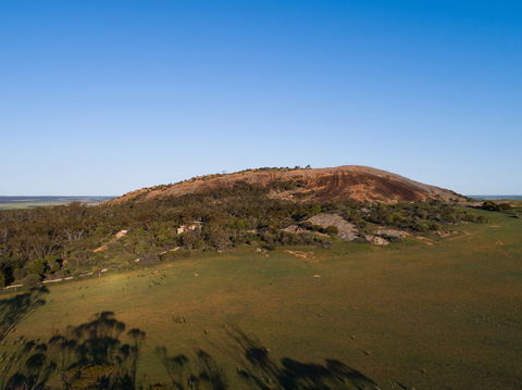 Mount Wudinna - Hotel Gold Coast 1