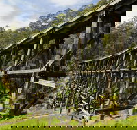 Noojee Trestle Bridge - Hotel Gold Coast