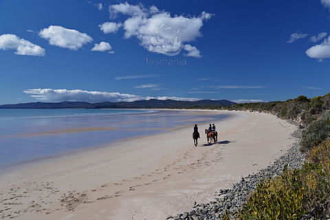 North West - Hotel Gold Coast 0