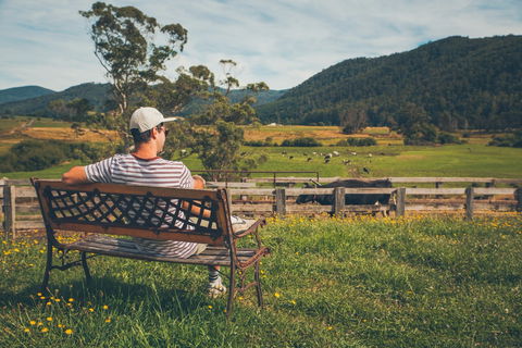 North - North East - Hotel Gold Coast 0