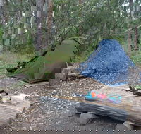 Northbrook Mountain Bush Camp - Hotel Gold Coast