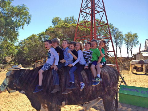 Outback Stockman's Show - Hotel Gold Coast 1