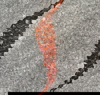 Red Poles Art Gallery - Hotel Gold Coast