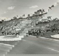 Rockhampton Bull Statues - Hotel Gold Coast