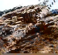 Rock Climbing in Morialta - Hotel Gold Coast