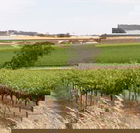 Smidge Wines Tasting Room - Hotel Gold Coast