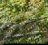 Tamborine Mountain - Hotel Gold Coast