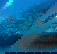 The Zanoni Wreck - Hotel Gold Coast