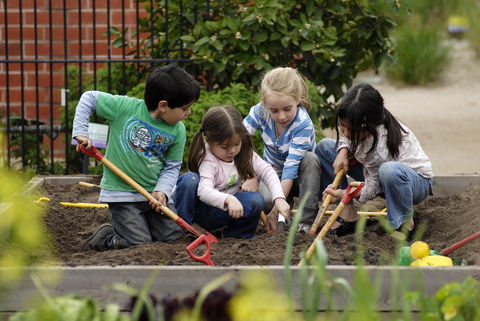 The Ian Potter Foundation Children's Garden - Hotel Gold Coast 0