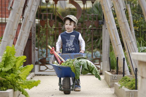 The Ian Potter Foundation Children's Garden - Hotel Gold Coast 1