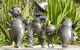 The Ian Potter Foundation Children's Garden - thumb 2