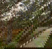 The Briars Park Walking Trails - Hotel Gold Coast