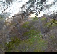 Tolmer Rocks - Mount Boothby Conservation Park - Hotel Gold Coast