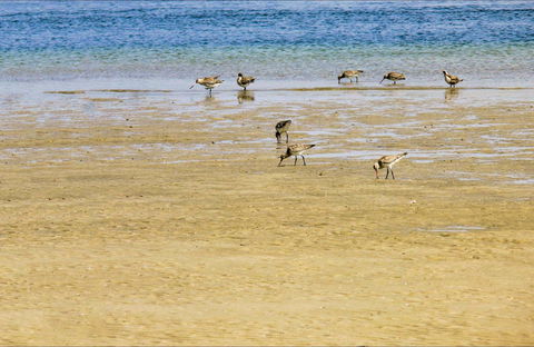 Towra Beach - Hotel Gold Coast 0