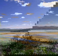 Wallagoot Lake Picnic Area and Boat Ramp - Hotel Gold Coast