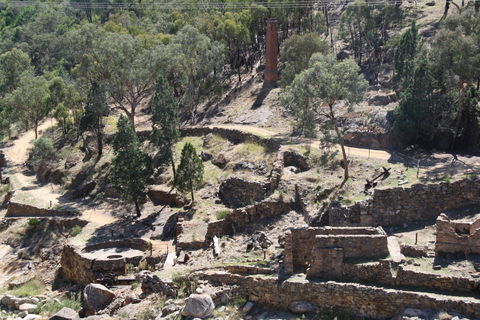 Adelong Falls Gold Mill Ruins - Hotel Gold Coast 0