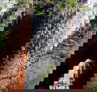 Ancient Empire Walk Valley of the Giants - Hotel Gold Coast