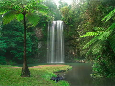 Atherton Tablelands - Hotel Gold Coast 0