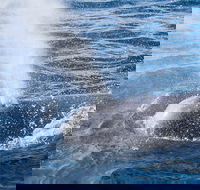 Bremer Bay Canyon - Hotel Gold Coast