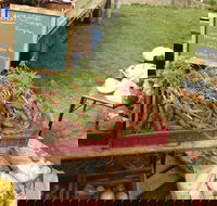 Burnie Farmers Market - Hotel Gold Coast