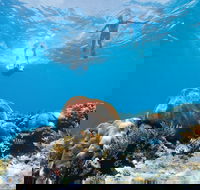 Capricorn Coast and Great Keppel Island Drive Itinerary - Hotel Gold Coast